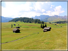 foto Alpe di Siusi